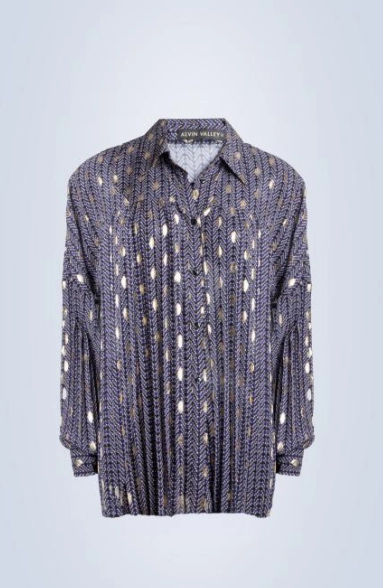 All-Weather Wear Dressy look BLOUSE PLISE