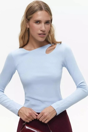 Blue Assymmetric Neckline Long Sleeve Top Plant