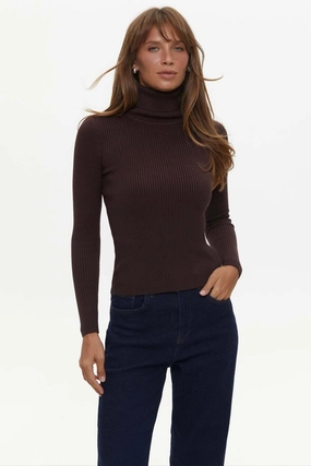 Drop Needle Detailing Comfy Layer Ribbed turtleneck sweater in color brown